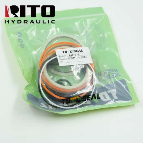 4467379 Boom Cylinder Seal Kit