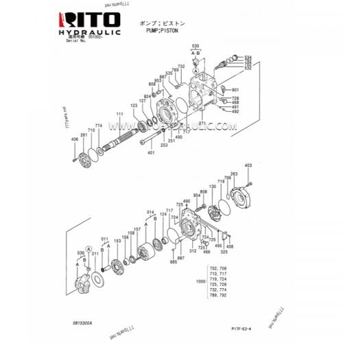 4466582 Hydraulic Pump